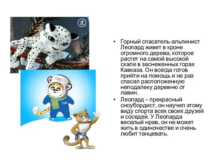 Горный спасатель-альпинист Леопард живет в кроне огромного дерева, которое растет