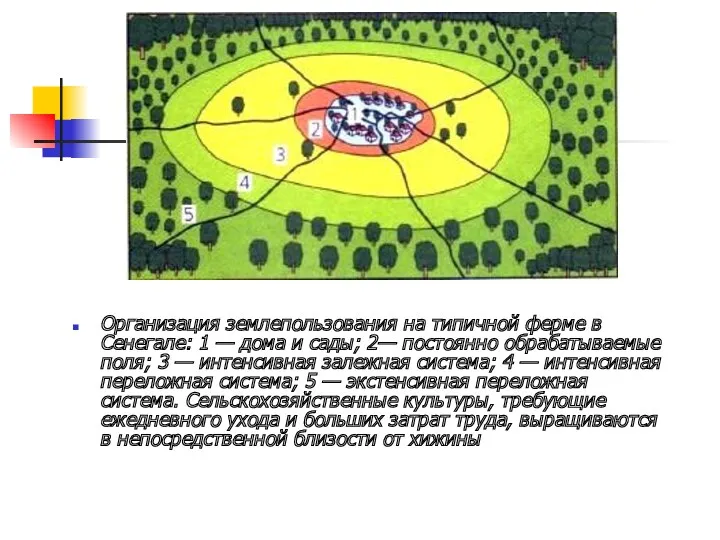 Организация землепользования на типичной ферме в Сенегале: 1 — дома