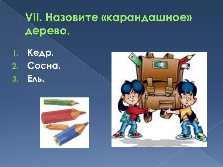 VII. Назовите «карандашное» дерево. Кедр. Сосна. Ель.