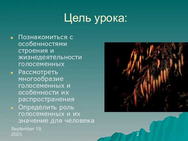 September 19, 2023 Цель урока: Познакомиться с особенностями строения и