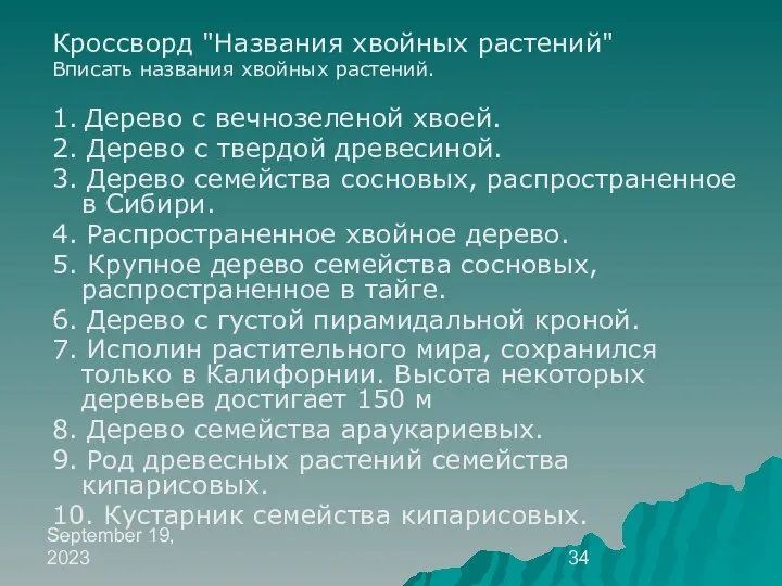 September 19, 2023 Кроссворд "Названия хвойных растений" Вписать названия хвойных