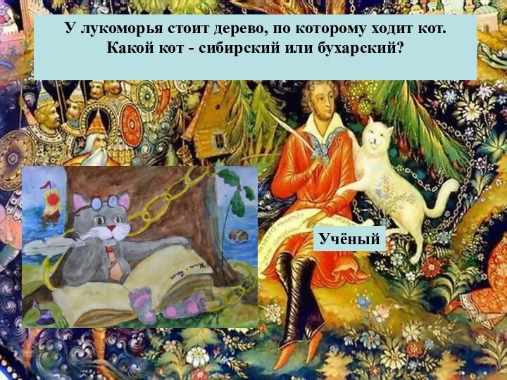 У лукоморья стоит дерево, по которому ходит кот. Какой кот - сибирский или бухарский? Учёный