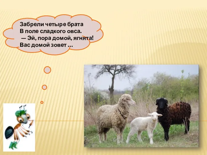 Забрели четыре брата В поле сладкого овса. — Эй, пора домой, ягнята! Вас домой зовет …