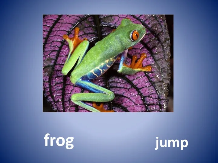 frog jump