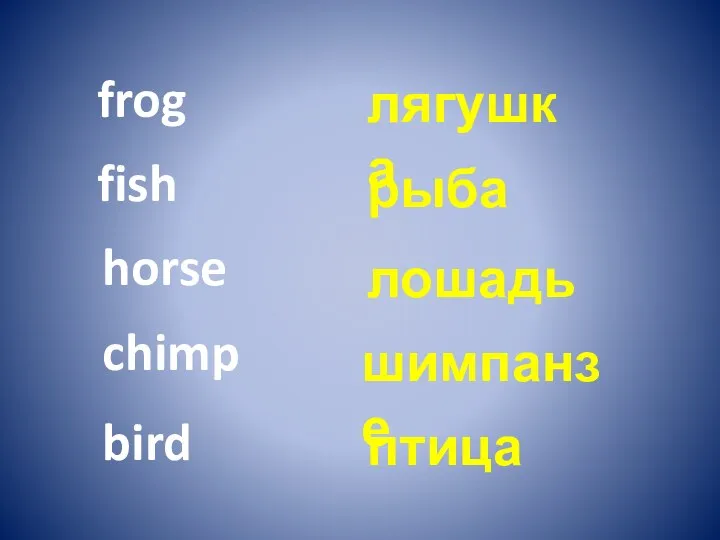 frog fish horse chimp лягушка рыба лошадь шимпанзе bird птица