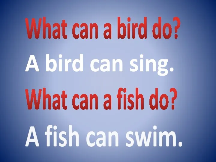 What can a bird do? A bird can sing. What