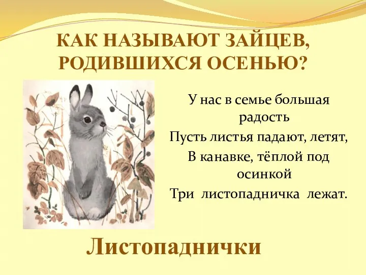 КАК НАЗЫВАЮТ ЗАЙЦЕВ, РОДИВШИХСЯ ОСЕНЬЮ? У нас в семье большая