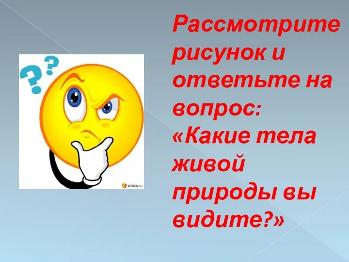 Рассмотрите рисунок и ответьте на вопрос: «Какие тела живой природы вы видите?»