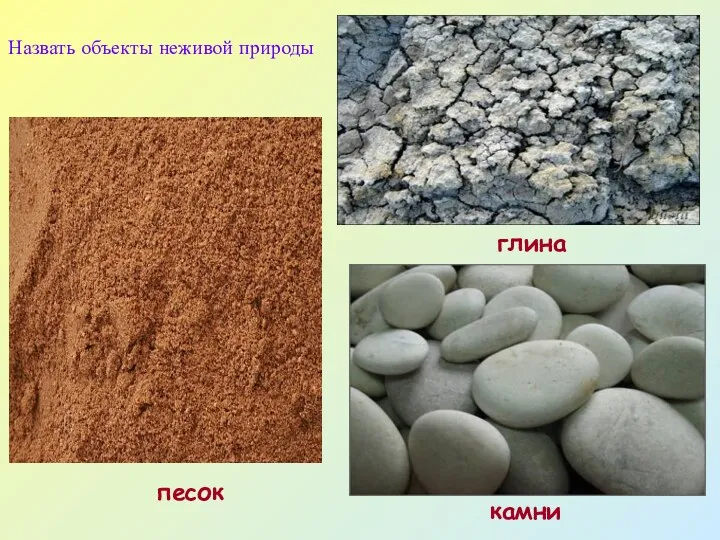 Назвать объекты неживой природы песок глина камни