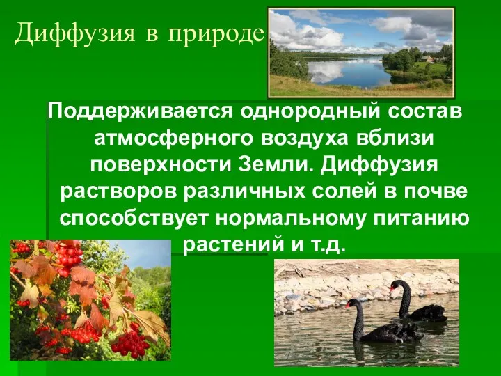 Диффузия в природе: Поддерживается однородный состав атмосферного воздуха вблизи поверхности