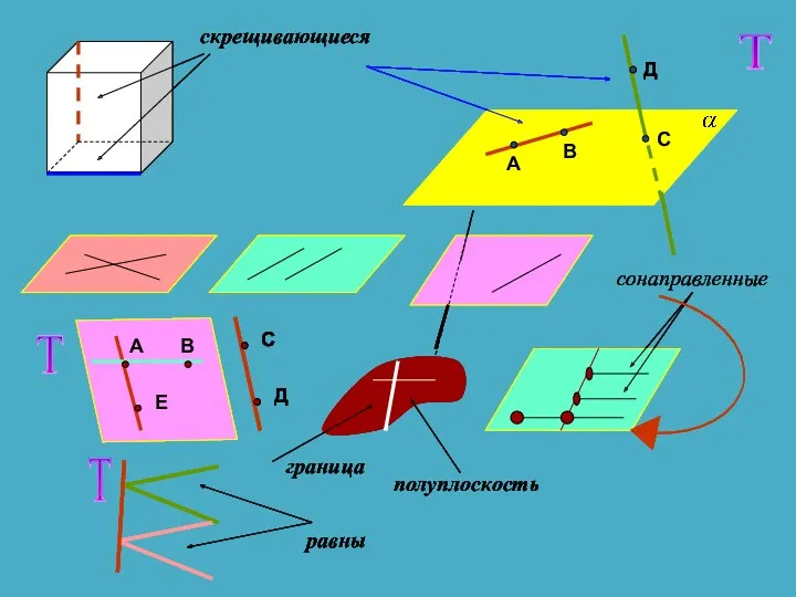 скрещивающиеся Т А В Д С Т А В Е