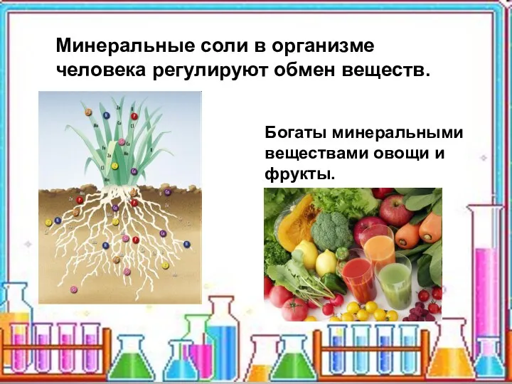 Минеральные соли в организме человека регулируют обмен веществ. Богаты минеральными веществами овощи и фрукты.
