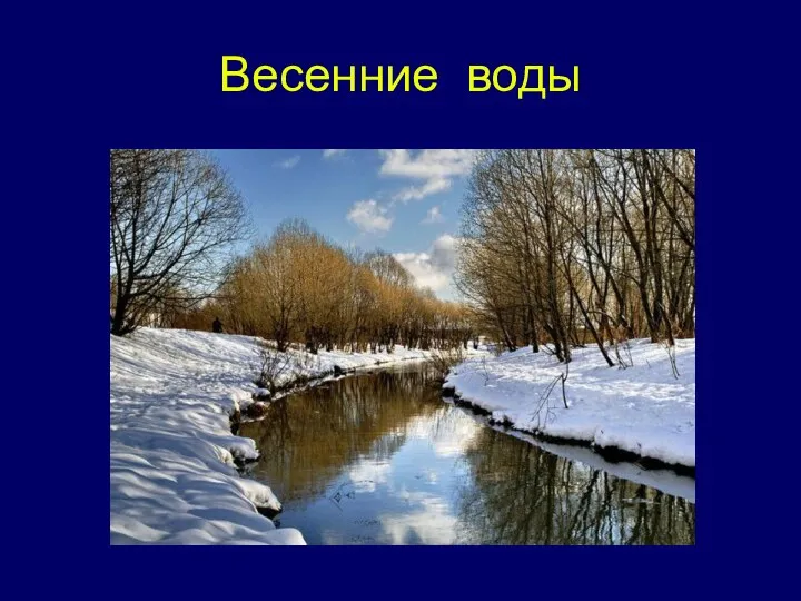 Весенние воды