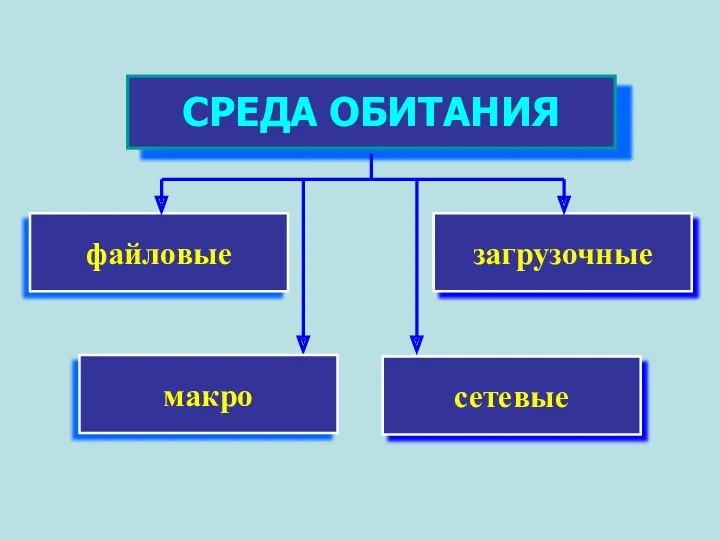 загрузочные СРЕДА ОБИТАНИЯ файловые сетевые макро