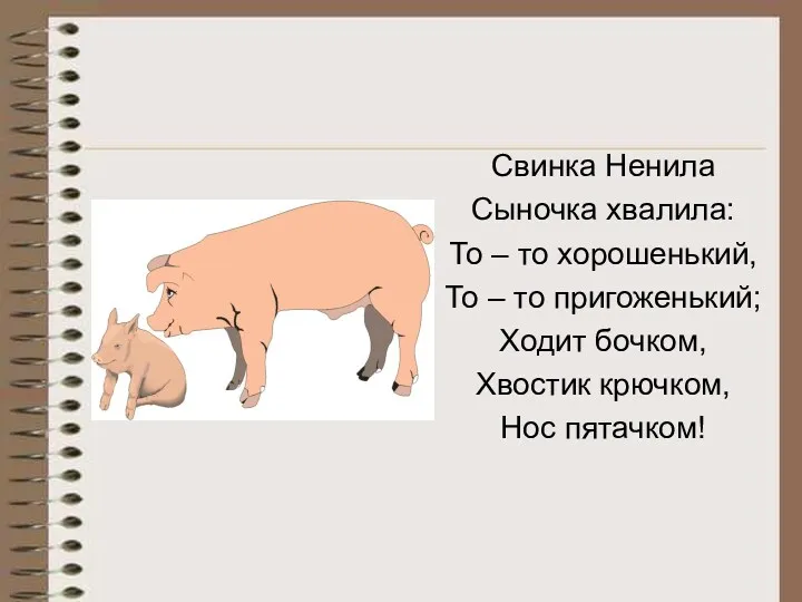 Свинка Ненила Сыночка хвалила: То – то хорошенький, То –