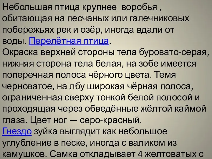 Небольшая птица крупнее воробья , обитающая на песчаных или галечниковых