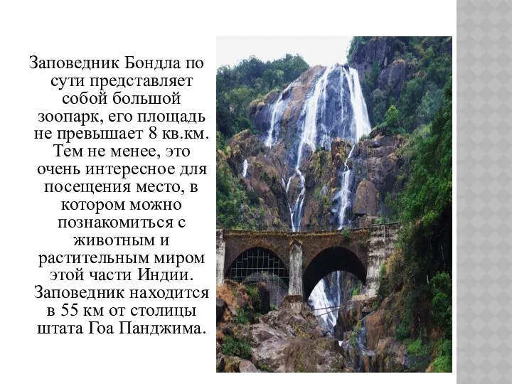 Заповедник Бондла по сути представляет собой большой зоопарк, его площадь