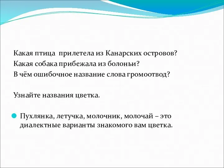 Какая птица прилетела из Канарских островов? Какая собака прибежала из