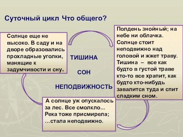 Суточный цикл утро полдень вечер Что общего? Солнце еще не