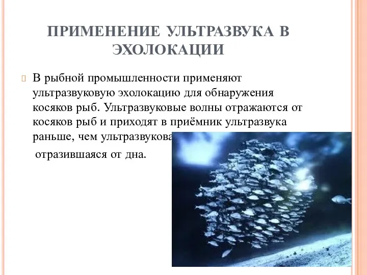 ПРИМЕНЕНИЕ УЛЬТРАЗВУКА В ЭХОЛОКАЦИИ В рыбной промышленности применяют ультразвуковую эхолокацию