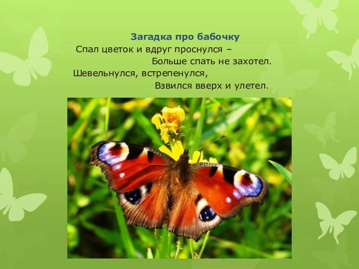 Загадка про бабочку Спал цветок и вдруг проснулся – Больше