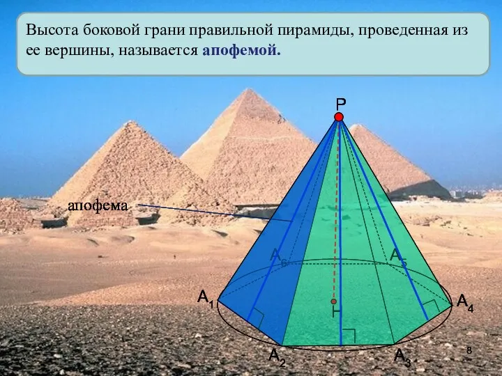 Высота боковой грани правильной пирамиды, проведенная из ее вершины, называется