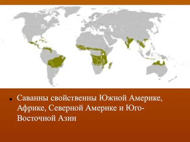 Саванны свойственны Южной Америке, Африке, Северной Америке и Юго-Восточной Азии
