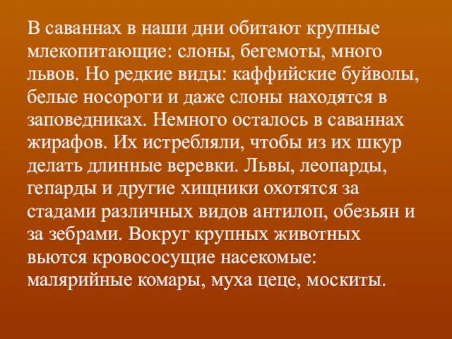 В саваннах в наши дни обитают крупные млекопитающие: слоны, бегемоты, много львов. Но