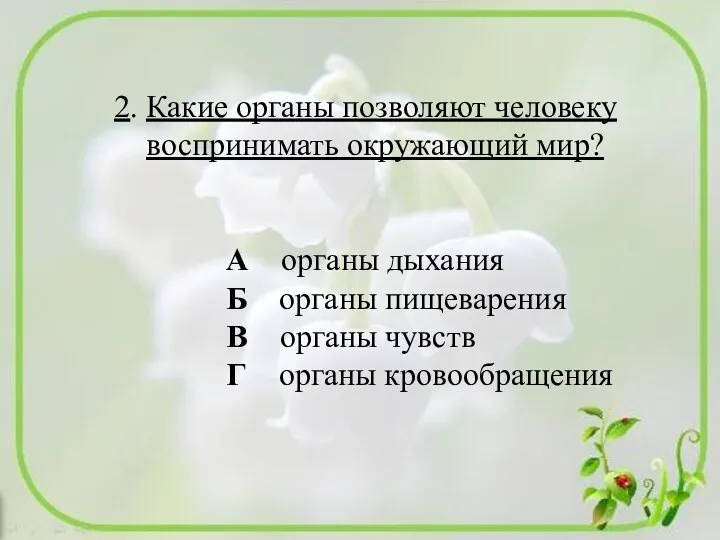 2. Какие органы позволяют человеку воспринимать окружающий мир? А органы