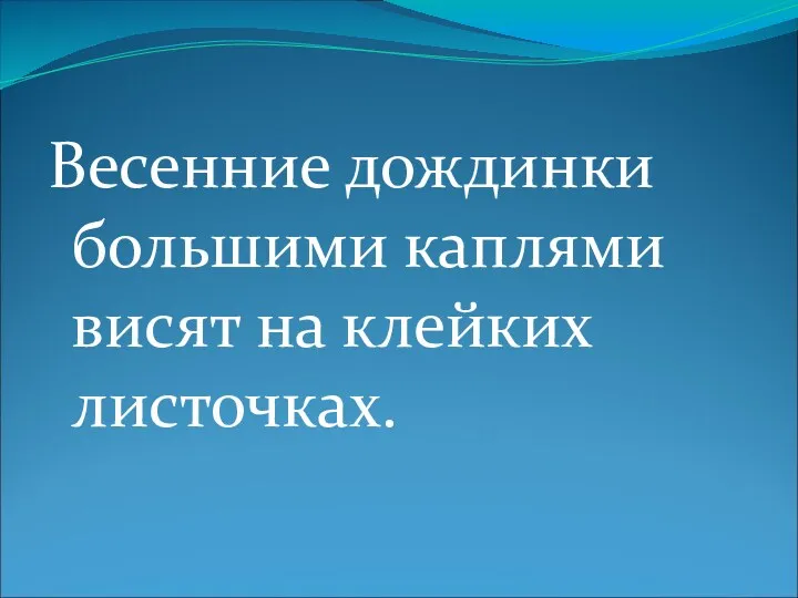 Весенние дождинки большими каплями висят на клейких листочках.