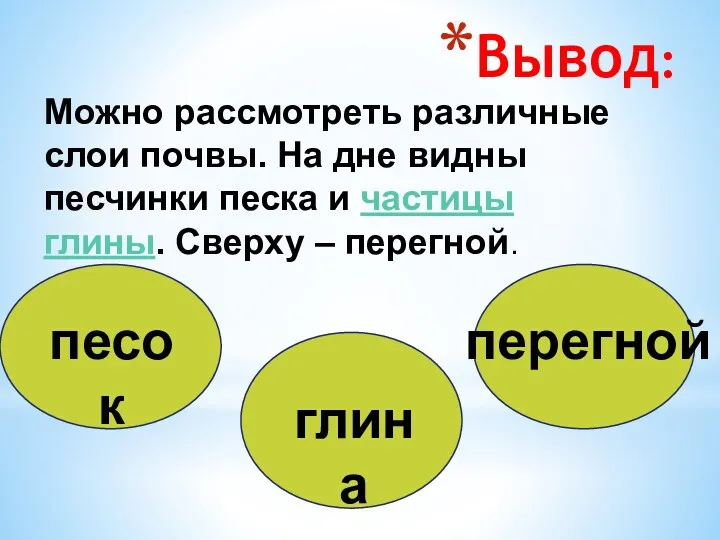 Вывод: Можно рассмотреть различные слои почвы. На дне видны песчинки