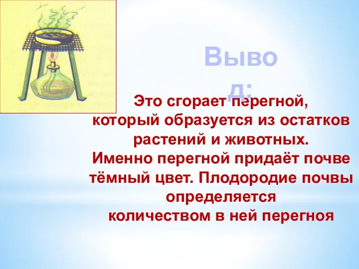 Это сгорает перегной, который образуется из остатков растений и животных.