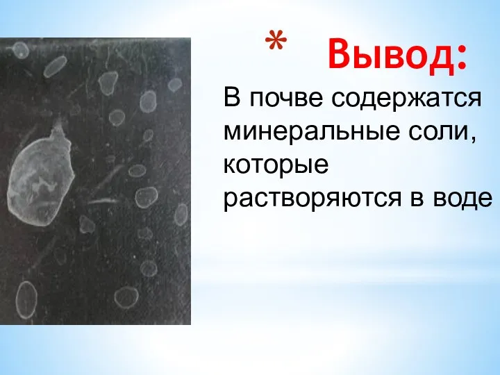 Вывод: В почве содержатся минеральные соли, которые растворяются в воде