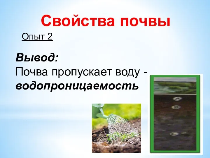 Свойства почвы Опыт 2 Вывод: Почва пропускает воду - водопроницаемость