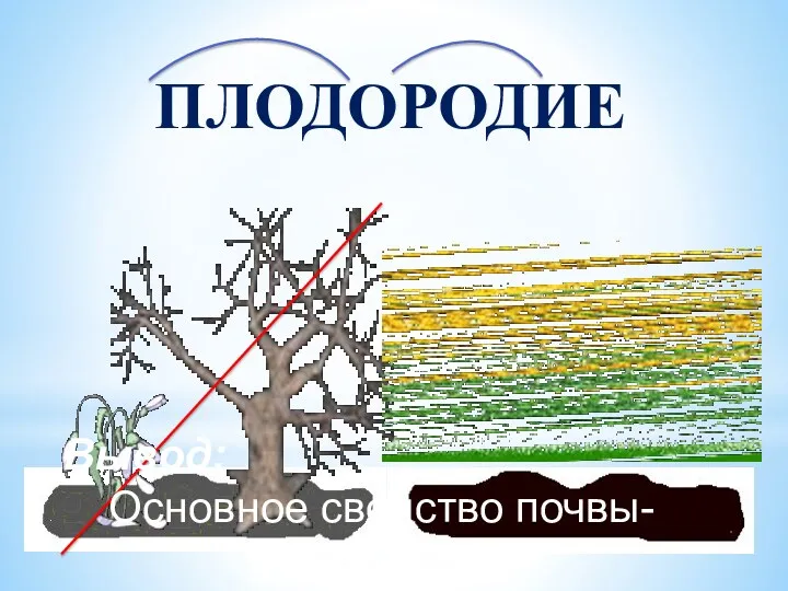 ПЛОДОРОДИЕ Вывод: Основное свойство почвы- плодородие