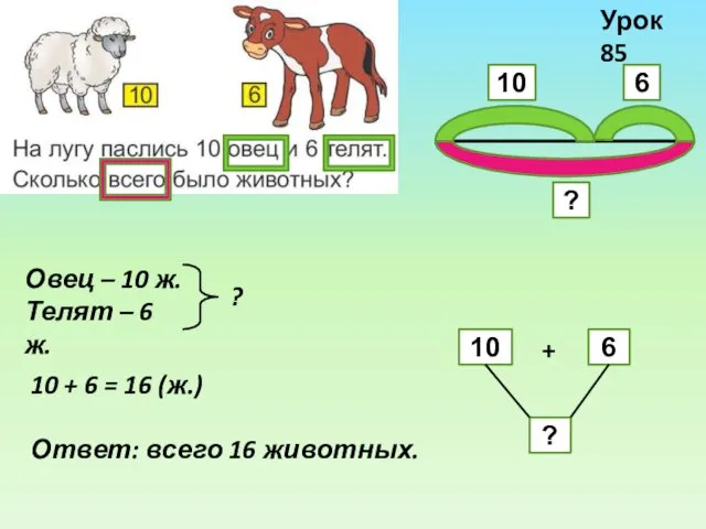 Овец – 10 ж. Телят – 6 ж. ? 10