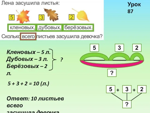 Кленовых – 5 л. Дубовых – 3 л. Берёзовых –