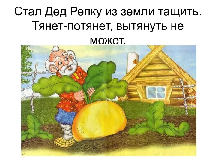 Стал Дед Репку из земли тащить. Тянет-потянет, вытянуть не может.