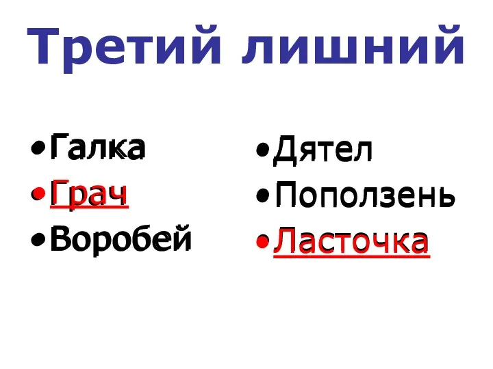 Третий лишний Галка Грач Воробей Дятел Поползень Ласточка Галка Грач Воробей Дятел Поползень Ласточка