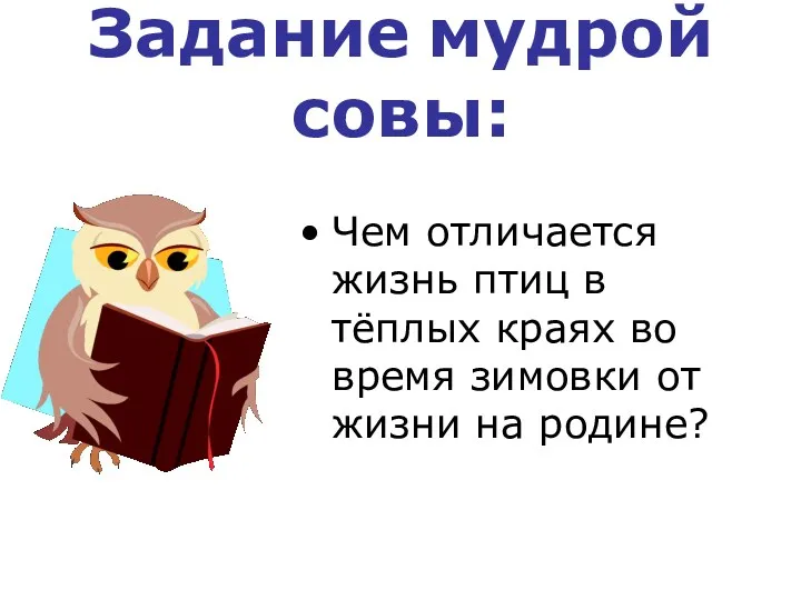 Задание мудрой совы: Чем отличается жизнь птиц в тёплых краях