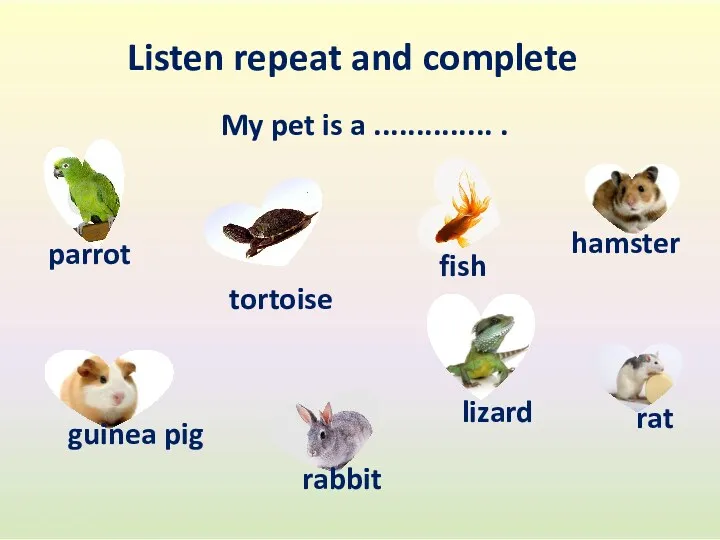 Listen repeat and complete My pet is a .............. .