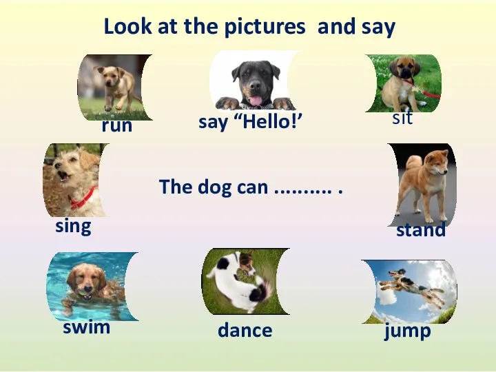 The dog can .......... . Look at the pictures and