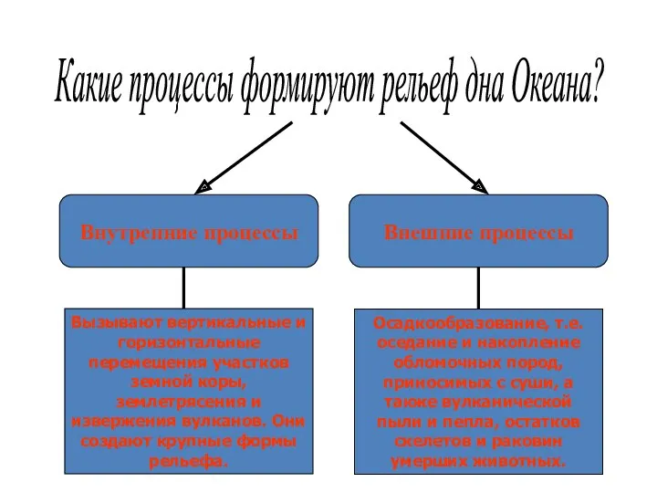 Какие процессы формируют рельеф дна Океана? Внутренние процессы Внешние процессы