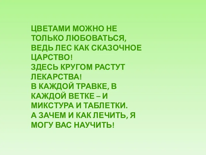 Цветами можно не только любоваться, Ведь лес как сказочное царство!