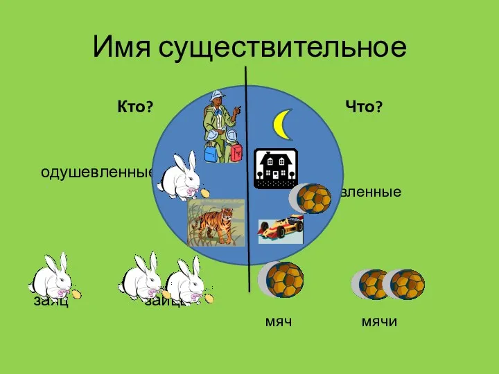 Имя существительное Кто? одушевленные заяц зайцы Что? неодушевленные мяч мячи