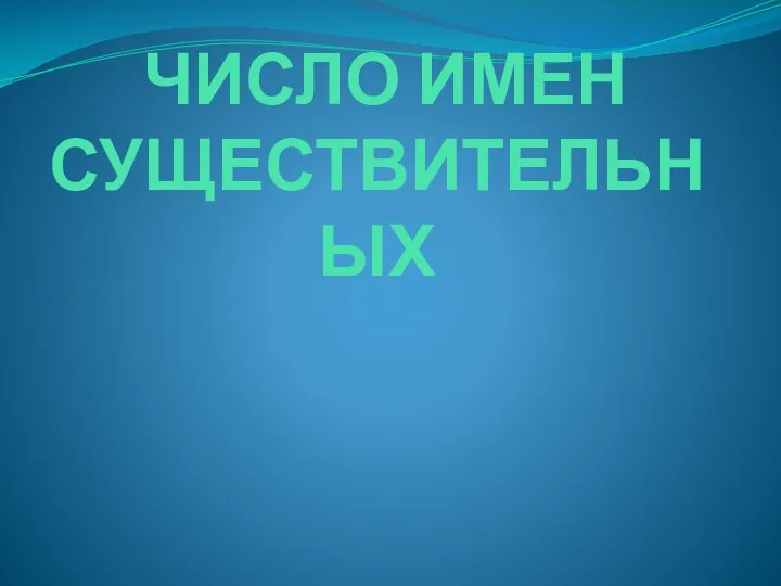 ЧИСЛО ИМЕН СУЩЕСТВИТЕЛЬНЫХ