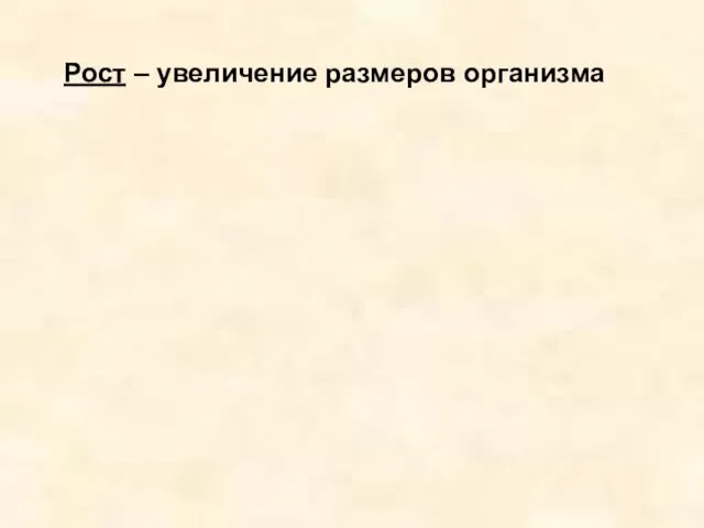 Рост – увеличение размеров организма