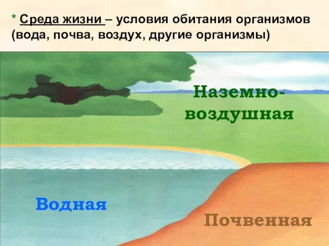 * Среда жизни – условия обитания организмов (вода, почва, воздух, другие организмы) Наземно-воздушная Водная Почвенная