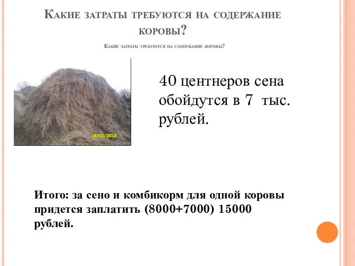 Какие затраты требуются на содержание коровы? 40 центнеров сена обойдутся