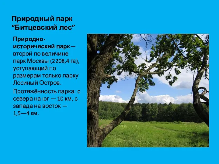 Природный парк “Битцевский лес” Природно-исторический парк— второй по величине парк